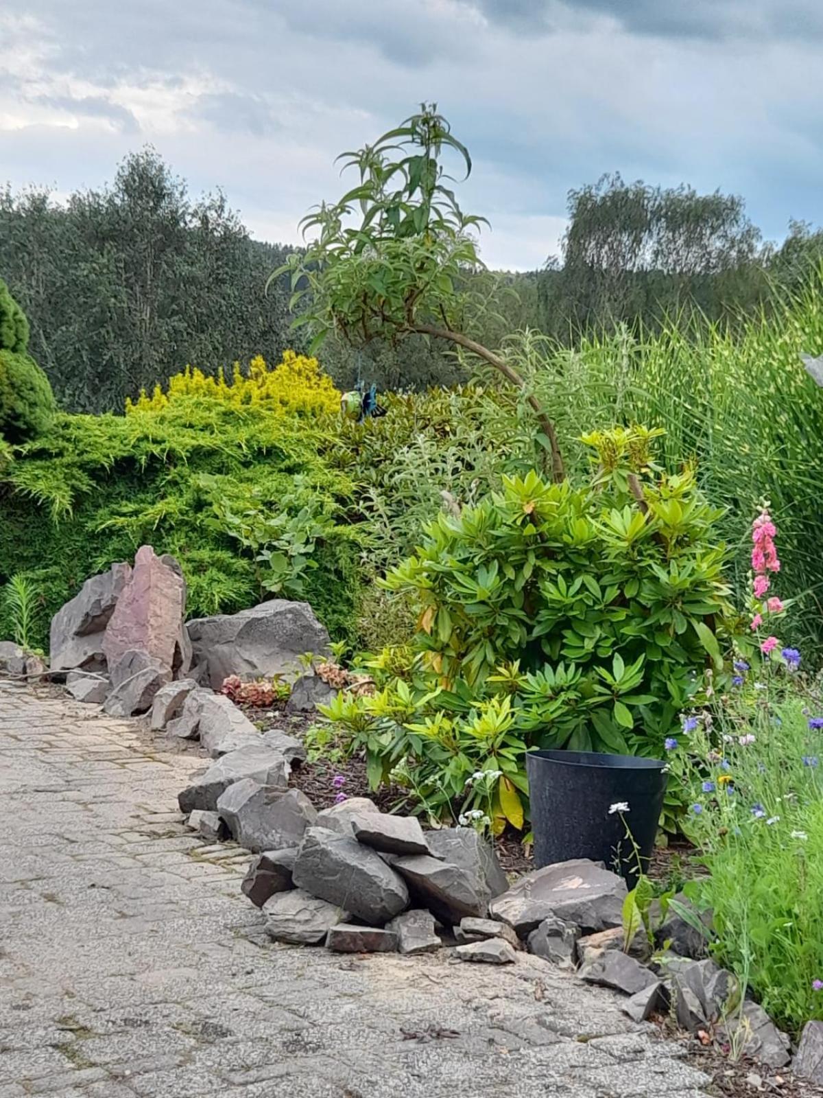 Haus Am Listersee Meinerzhagen Dış mekan fotoğraf