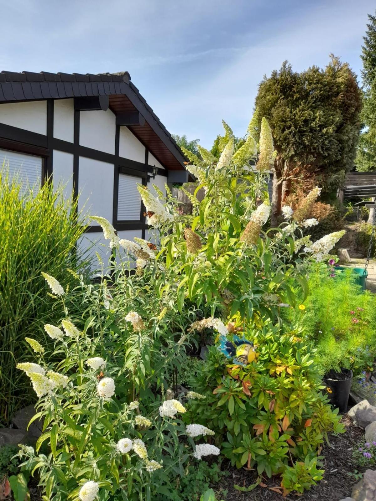 Haus Am Listersee Meinerzhagen Dış mekan fotoğraf