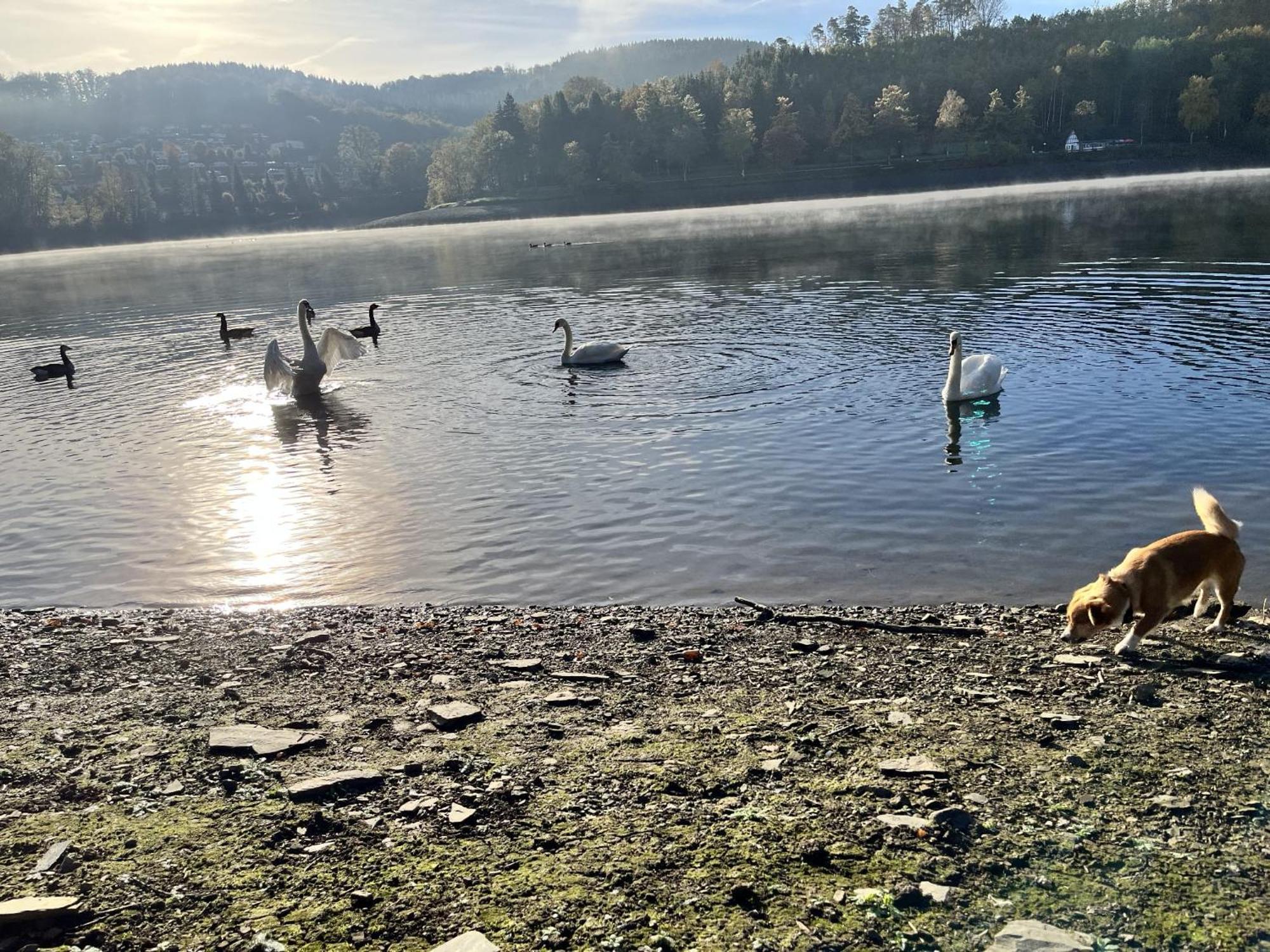 Haus Am Listersee Meinerzhagen Dış mekan fotoğraf